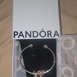 Pandora bracelet